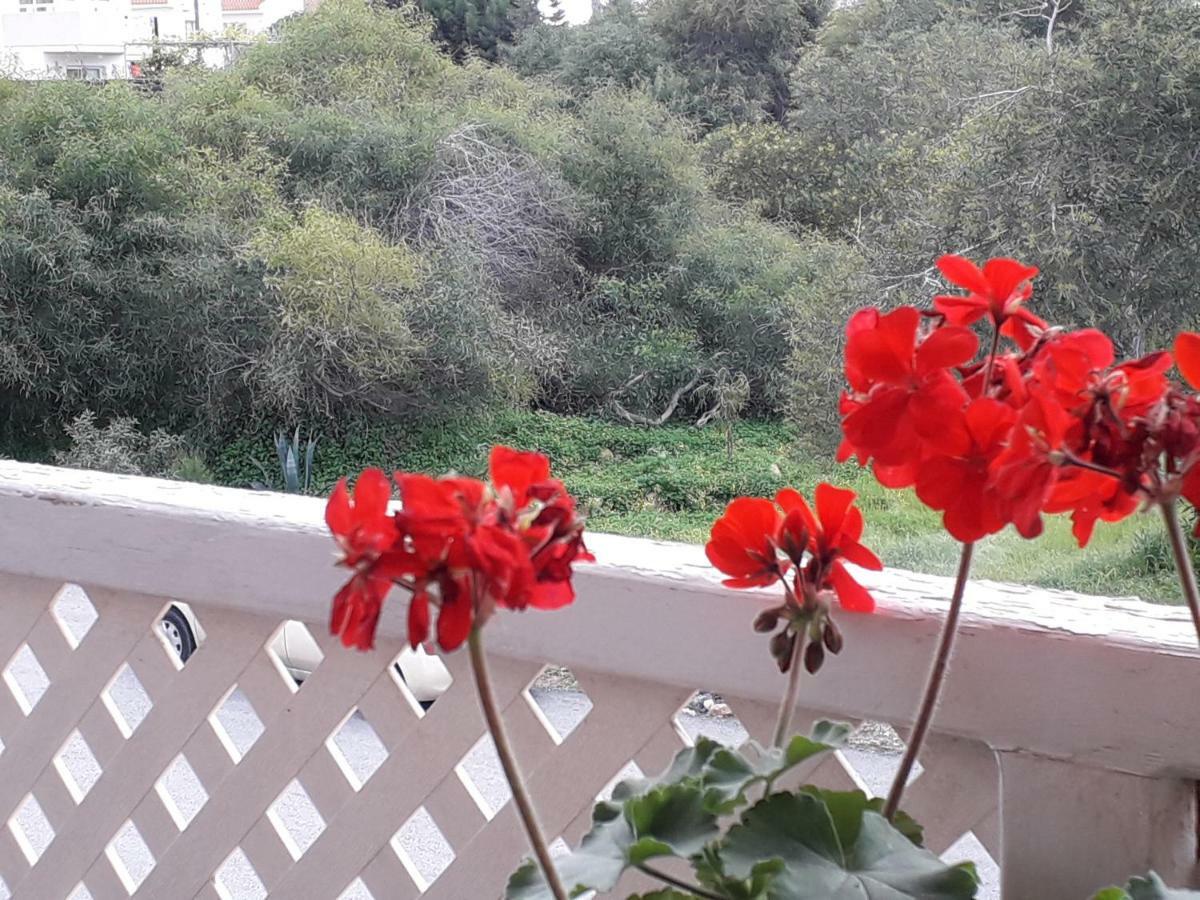 Protaras Happy Sunny Holidays Paralimni Buitenkant foto